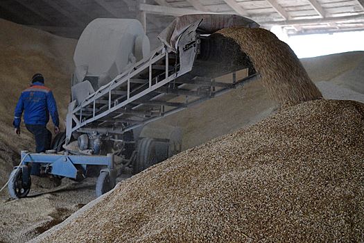 Украинский министр заявил о поиске альтернатив зерновой сделке без участия России